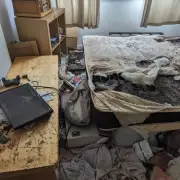 Birmingham Woman Banned from Keeping Animals for 10 Years After Neglect Case