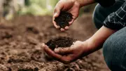 British Garden Centres Guide to Soil Types for Spring Planting