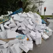 Council Investigates Mystery Fish Dumping Incident in Coleshill