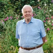 David Attenborough's Secret Garden Stuns BBC Viewers with Oxfordshire Wildlife