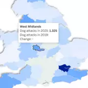 Dog Attacks in West Midlands Double Since Pandemic: Three Daily