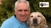 Expert Dog Trainer Reveals Key to Success: Consistency and Clear Communication