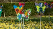 Garden of Hope Installation Tours Lincolnshire to Spark Mental Health Conversations