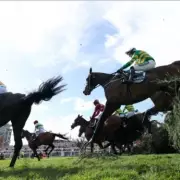 Grand National Horse Hospitalised After Aintree Race, Two Others Assessed