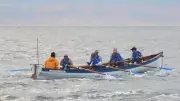 Kent Farm Owner, 75, to Row English Channel Overnight for Nature Charity