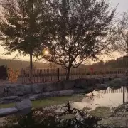 Midland Mum Pays £10k for Swiss Assisted Dying After Son's Death