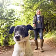 New UK Dog Walking Rules Start May 1: £1,000 Fines for Beach Violations