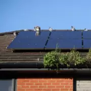 Octopus Energy Reports Surge in Green Tech Adoption Amid Energy Crisis