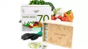 Spring Gardening Guide: Top Seed Boxes and Starter Kits for Your Garden