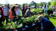 Spring Plant Fair Blooms at Cholmondeley Castle Gardens This April