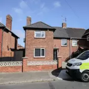 Tragic Dog Attack Claims Life of Three-Month-Old Baby in Dormanstown