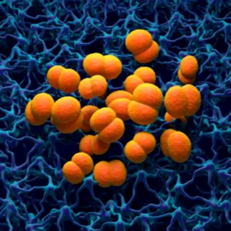 14 Meningitis Symptoms as UK Faces New Deadly Outbreak