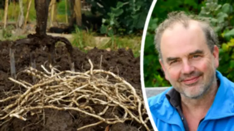 6 Unusual Gardening Tips from Expert Simon Akeroyd to Save Time and Money