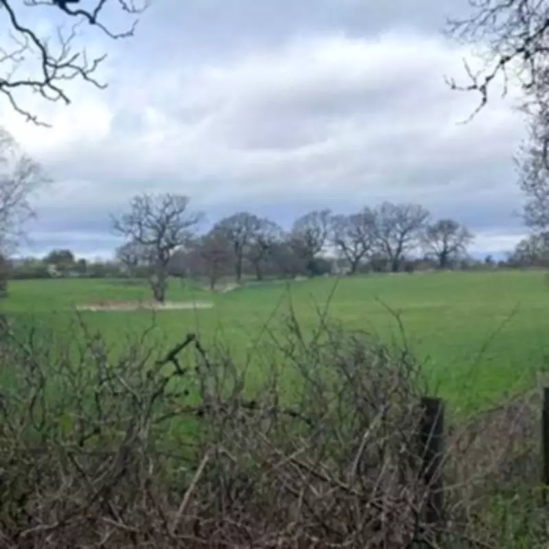 70 Greenbelt Homes Planned for Alderley Edge by Bellway