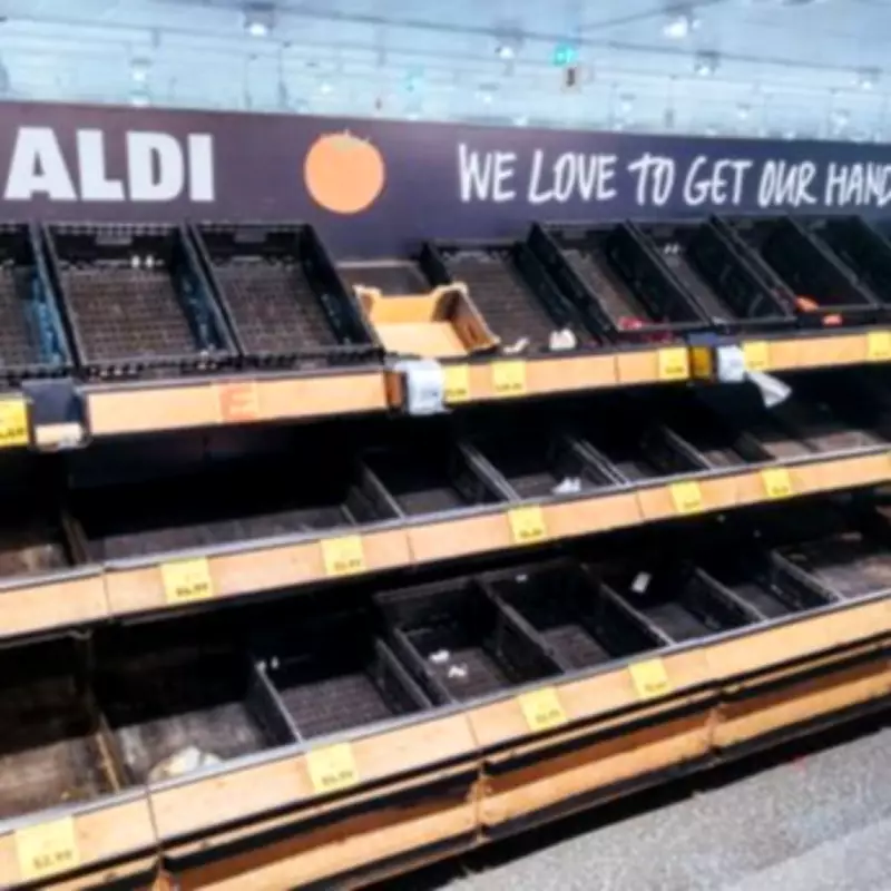 Aldi D Code: Secret Label Hack to Save on Discontinued Items