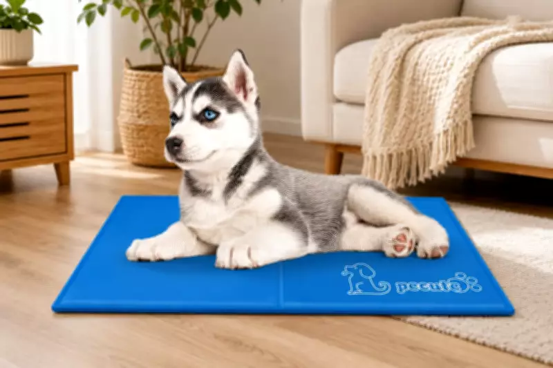 Amazon Shoppers Snap Up £16 Self-Cooling Dog Mat for Summer Walks