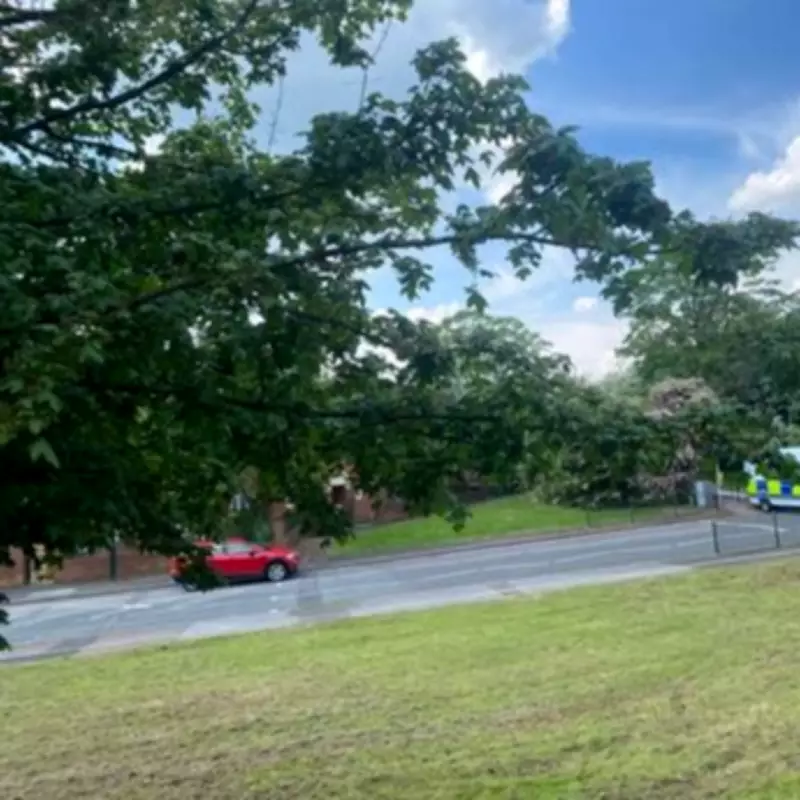 Armed Police and Bomb Squad on Northfield Street After Evacuations