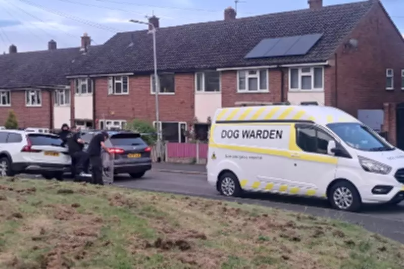 Armed Police Called After XL Bully Bites Man in Birmingham