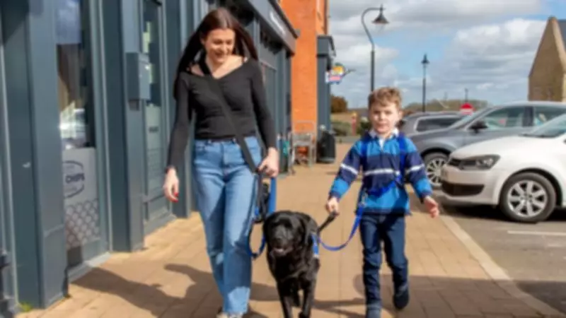 Autistic Boy's Life Transformed by Support Dog Davey