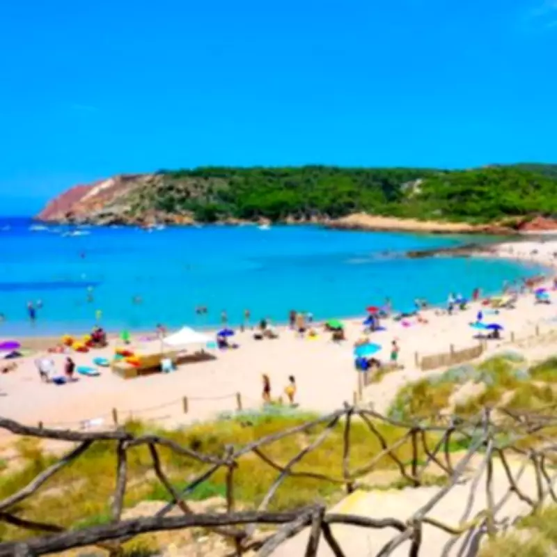 Balearic Islands Face 'Tragic' Snake Invasion Threatening Lizards