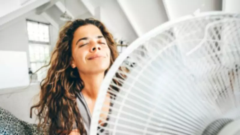 Best Summer Fan Deals 2025: Beat the Heatwave on a Budget