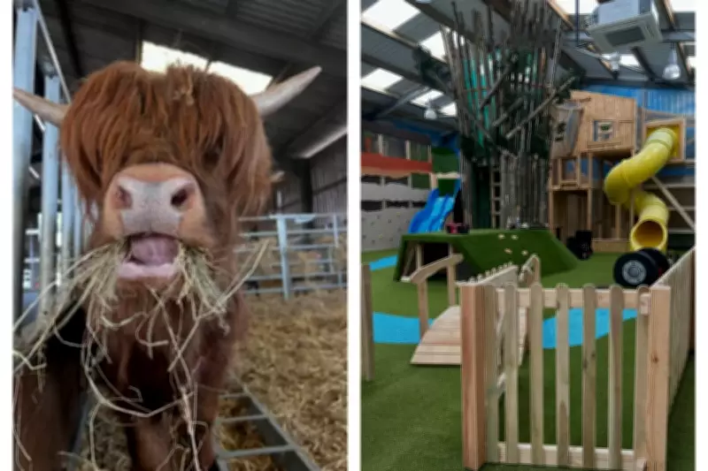 Black Country Farm with Highland Cows and Play Barn is Perfect Day Out
