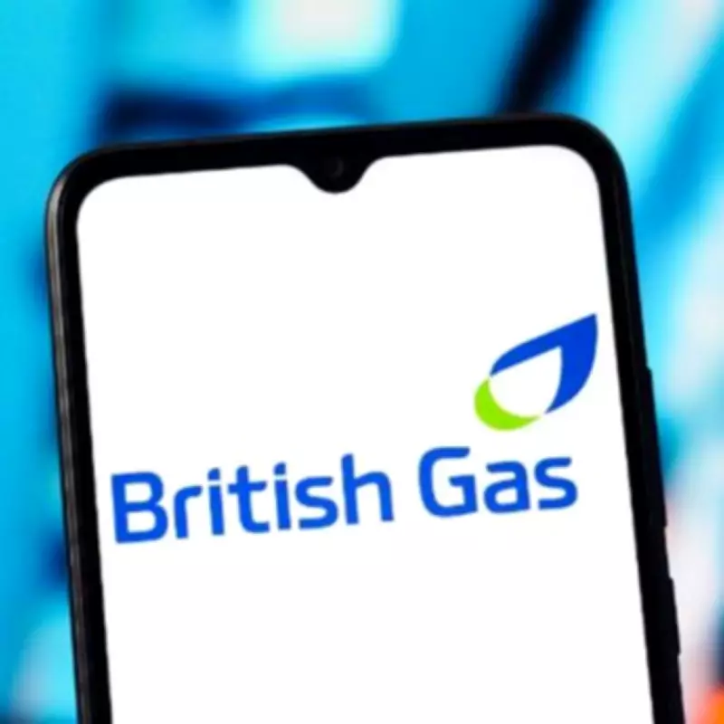 British Gas forced to pay £20m over illegal prepayment meter installations