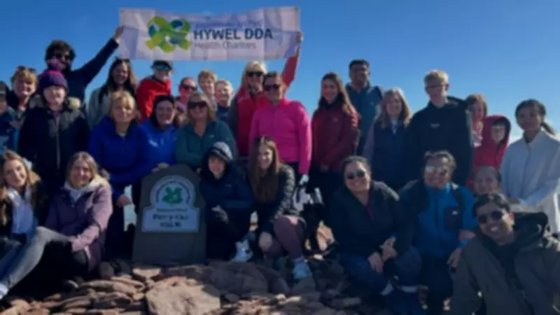 Chemotherapy staff raise £2,530 climbing Pen y Fan and swimming