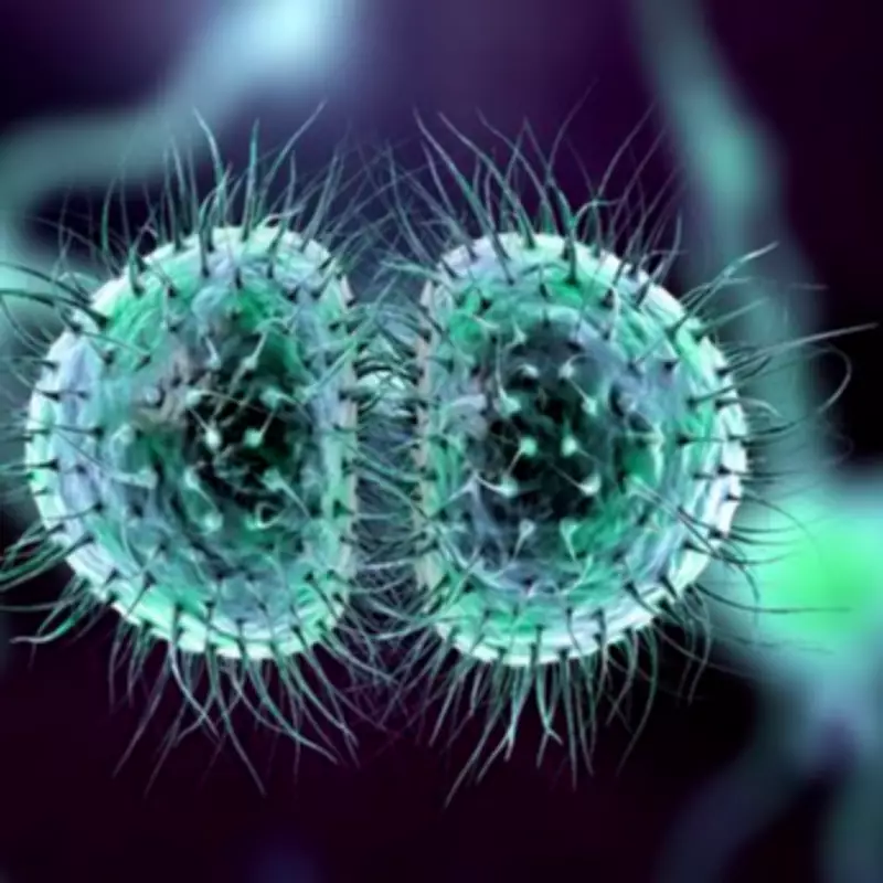College Student Dies in Meningitis Outbreak in Reading