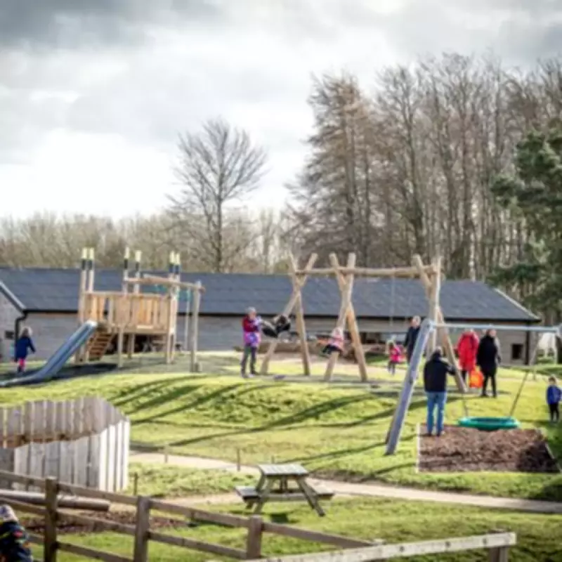 Cotswold Farm Park Named Top 10% UK Attraction by Tripadvisor