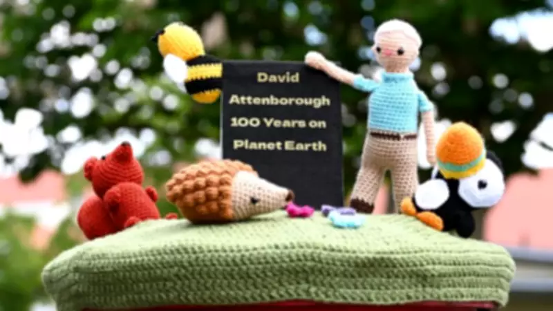 Crochet Postbox Tributes Celebrate Sir David Attenborough's 100th Birthday