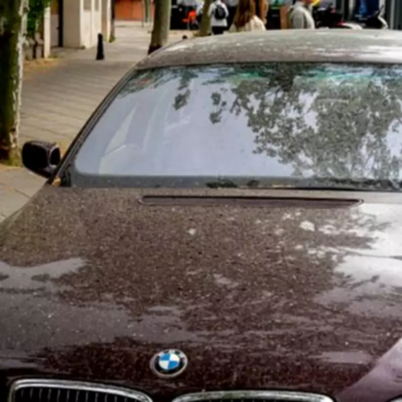 Drivers Warned of £1,000 Fines for Dirty Cars Under Little-Known Rule