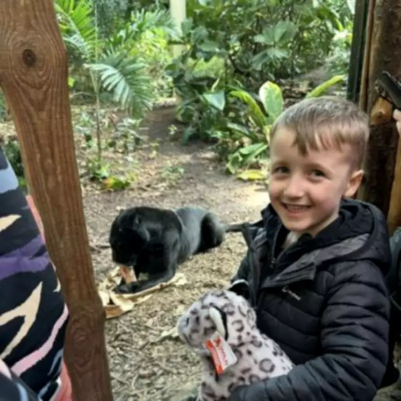 Family Tribute to 'Bubbly' Boy, 6, Killed in Cheshire Car Crash
