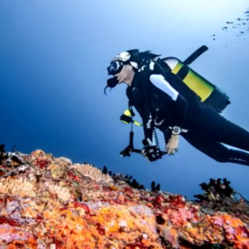 Five Italian Tourists Die in Maldives Diving Cave Tragedy