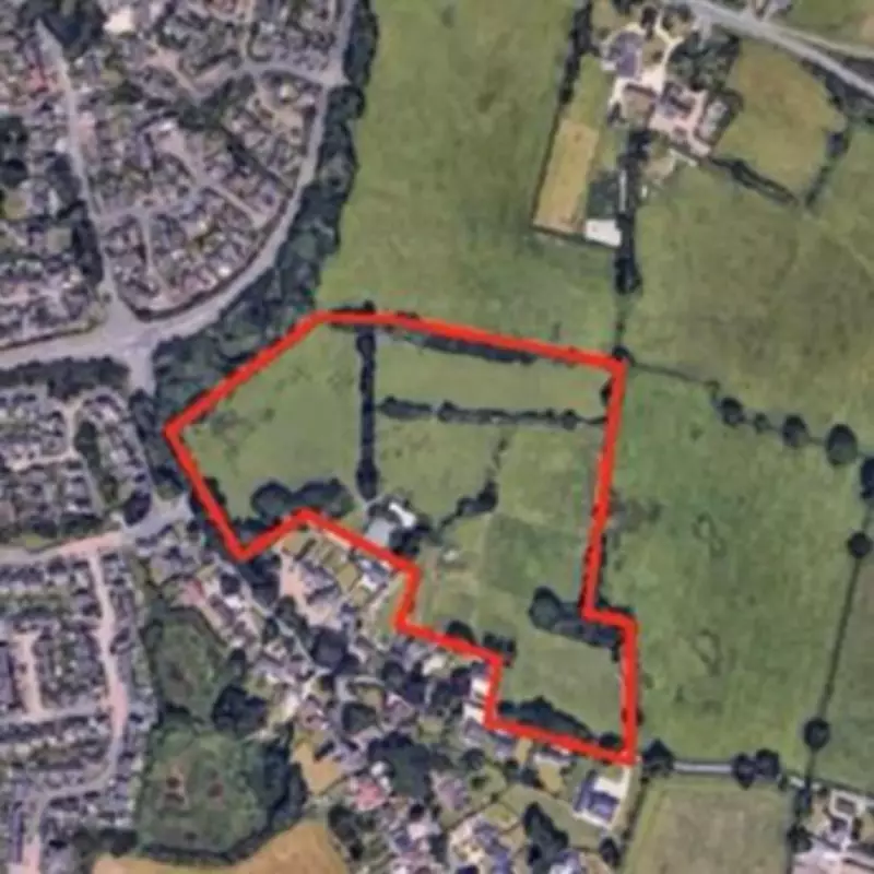 Food Security at Risk from Farmland Development, Councillors Warn