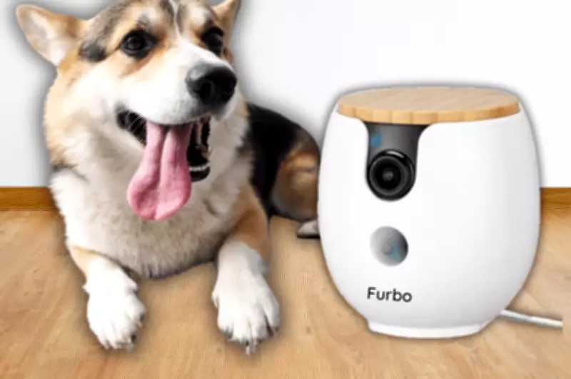 Furbo Mini 360° Pet Camera Eases Dog Owners' Holiday Guilt