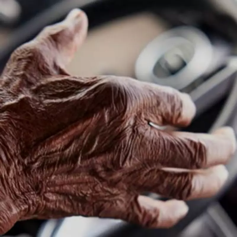 Government Update on Compulsory Tests for Drivers Over 70