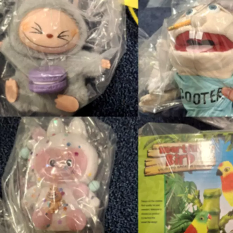 Hundreds of Fake Labubu Toys Seized in Walsall Shop Raids Pose Serious Risk