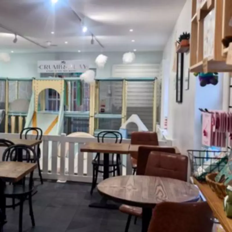 Inside 'chic' Crumb and Play Café near Birmingham in 10 pictures