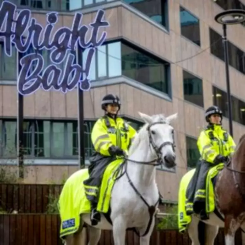 Inside the Lives of West Midlands Police Horses: Sunbeds and Massages