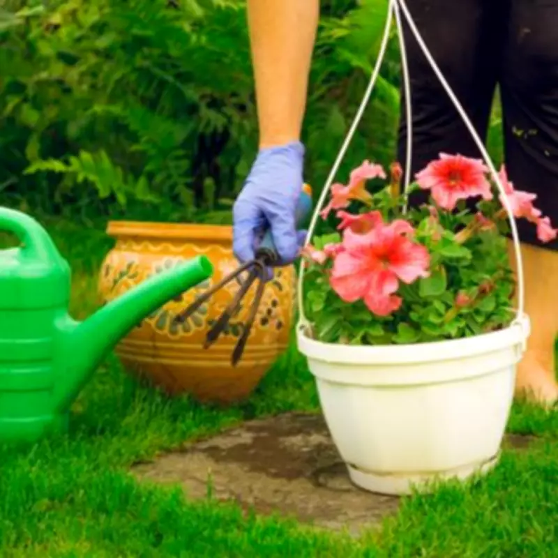 Keep Hanging Baskets Blooming All Summer with This Soil Tip