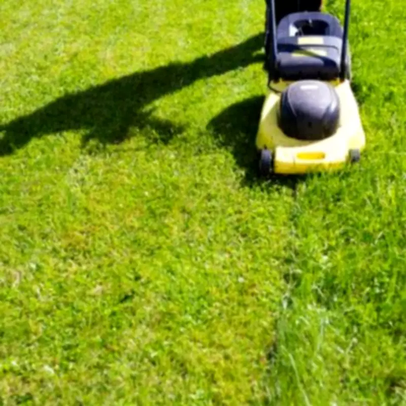 Lawn Mowing Rules: Hours That Could Get You Reported to Council