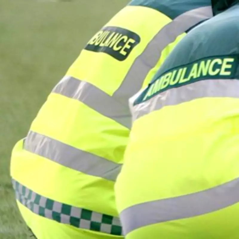 Man Attacked in Birmingham Street Hospitalized with Head Injury