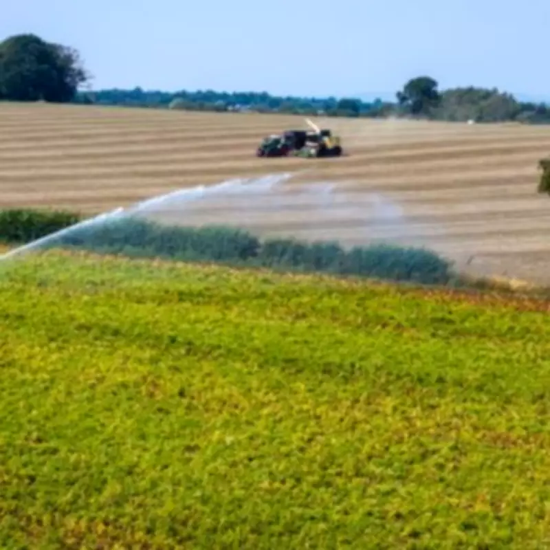 Midlands Towns Set to Miss First UK Heatwave of Summer - Full List