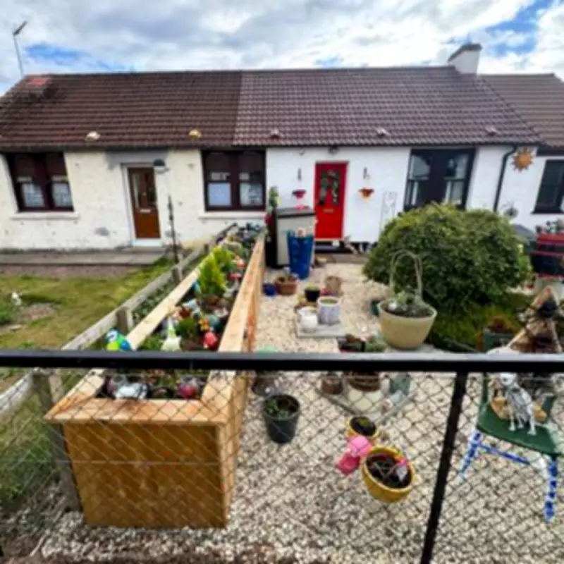Neighbour Row Over Widow's Planter Ends in Court with Fine