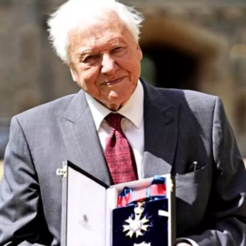 Netflix's 'Obscene' David Attenborough Parody Mating Season Drops After 100th Birthday