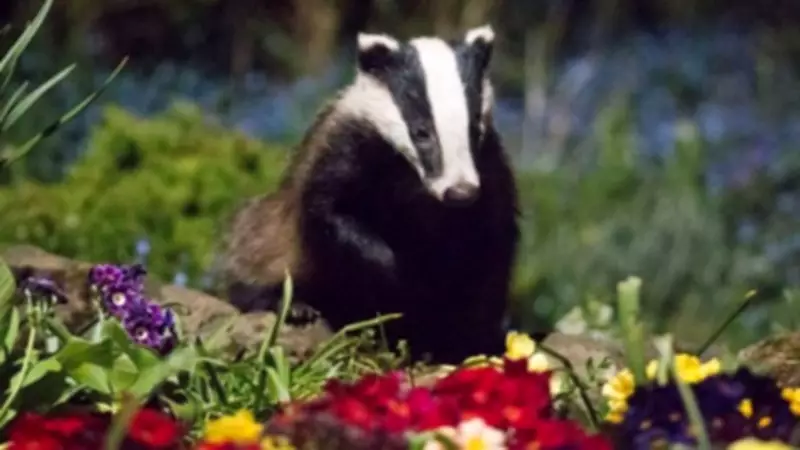 New Natural History Exhibition Opens at Wollaton Dovecote Museum