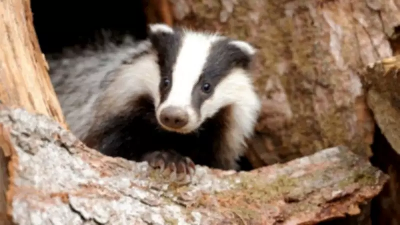 New Nature Group Hosts Free Family Wildlife Open Day at Stackpole