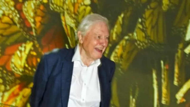 New Parasitic Wasp Species Named After Sir David Attenborough for 100th Birthday
