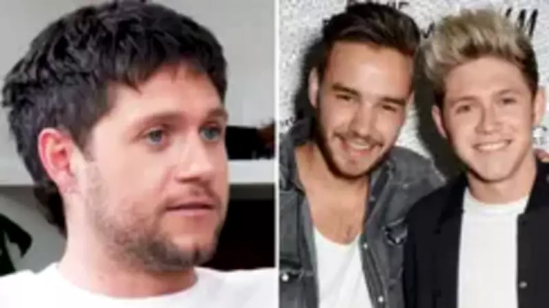 Niall Horan Reveals Liam Payne Inspired 'End of an Era' Lyrics